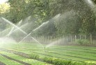 Romainelandscaping-water-management-and-drainage-17.jpg; ?>