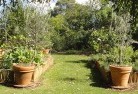 Romainevegetable-gardens-3.jpg; ?>