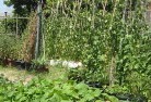 Romainevegetable-gardens-6.jpg; ?>